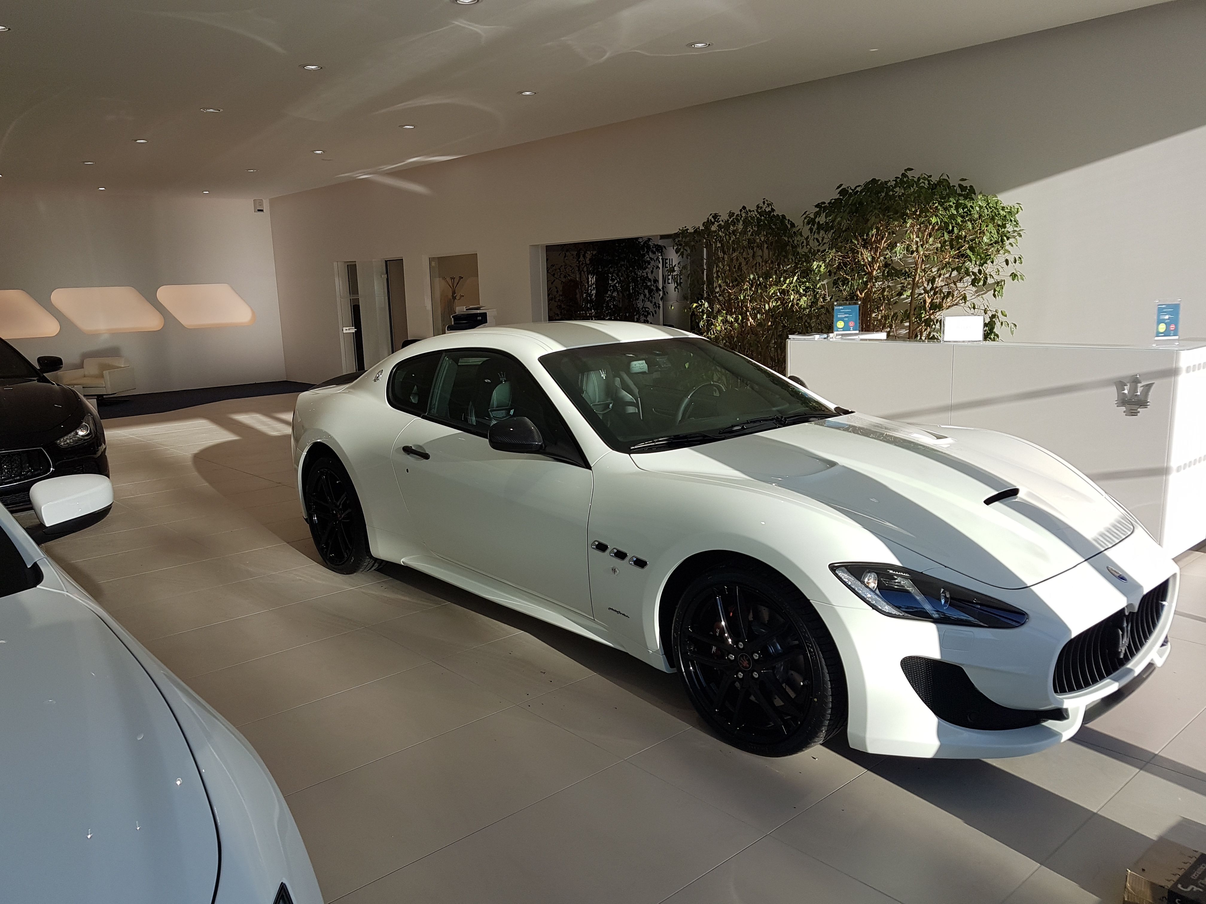 contenu/references/Concession automobile/03orleans/2016-10-05 17.58.37.jpg